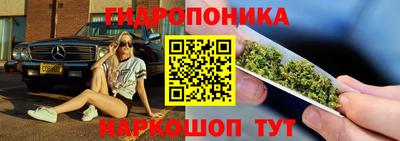 a pvp Краснознаменск