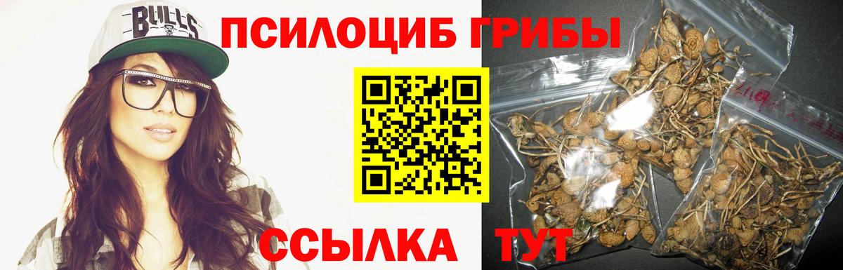 Галлюциногенные грибы мицелий Шатура
