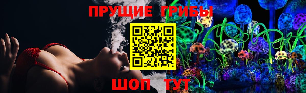 Шатура  Галлюциногенные грибы Psilocybe  Вход с VPN 